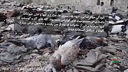 موشن گرافی حمله شیمیایی صدام ب...