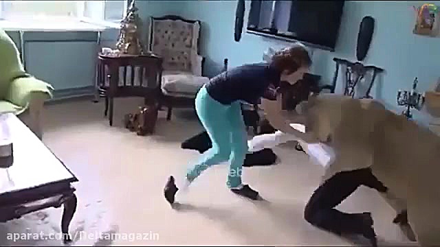 حمله حیوانات به انسان ها