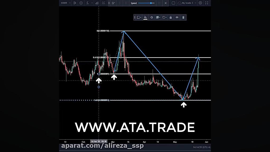 جادوگری به سبک استاد بیژن و اط...