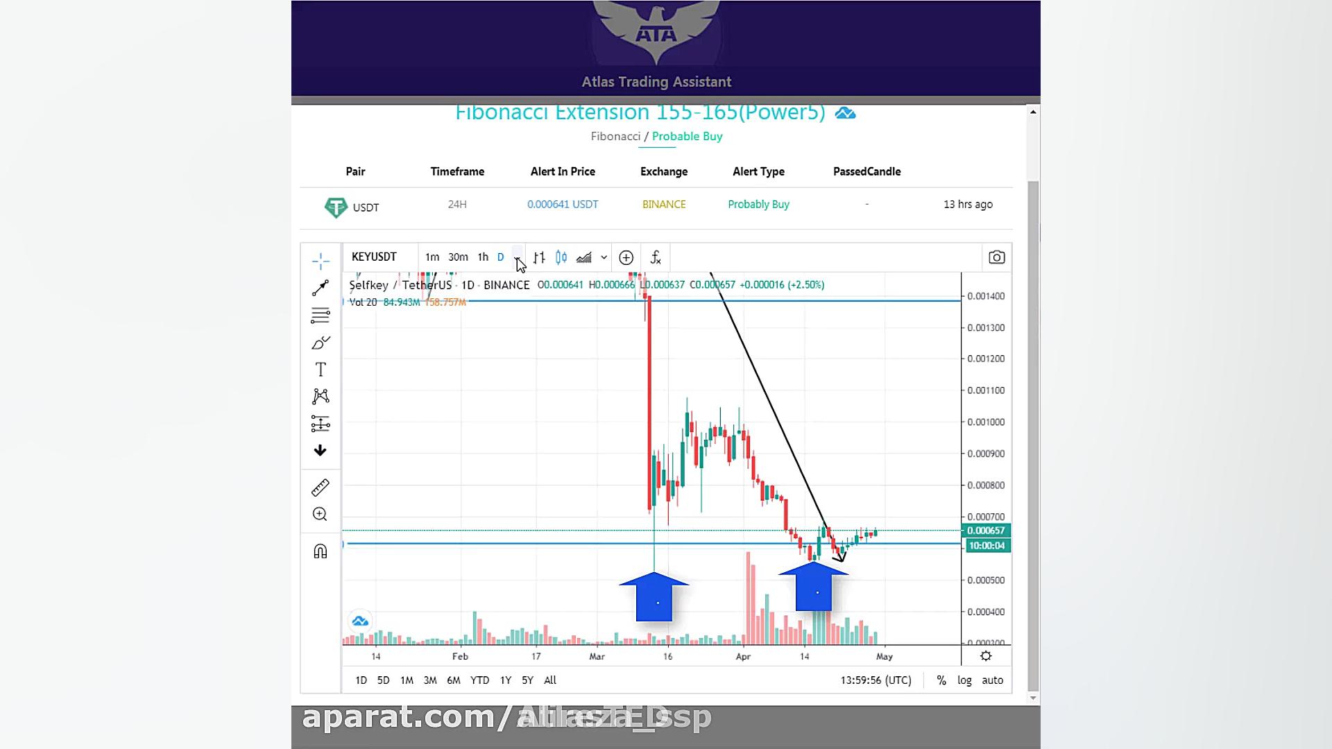 ترید خفن بانوی ایرانی
