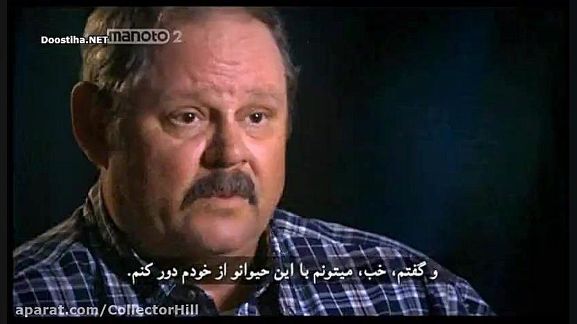 مستند حیات وحش انسان طعمه حیوا...