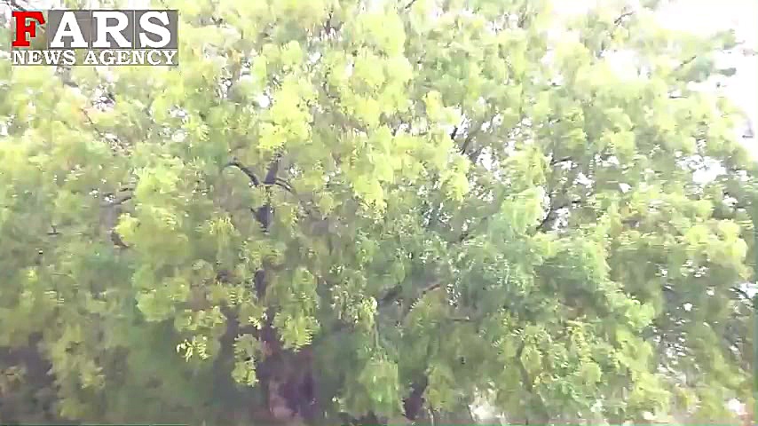 بارش باران &laquo;بهاری&raquo;...