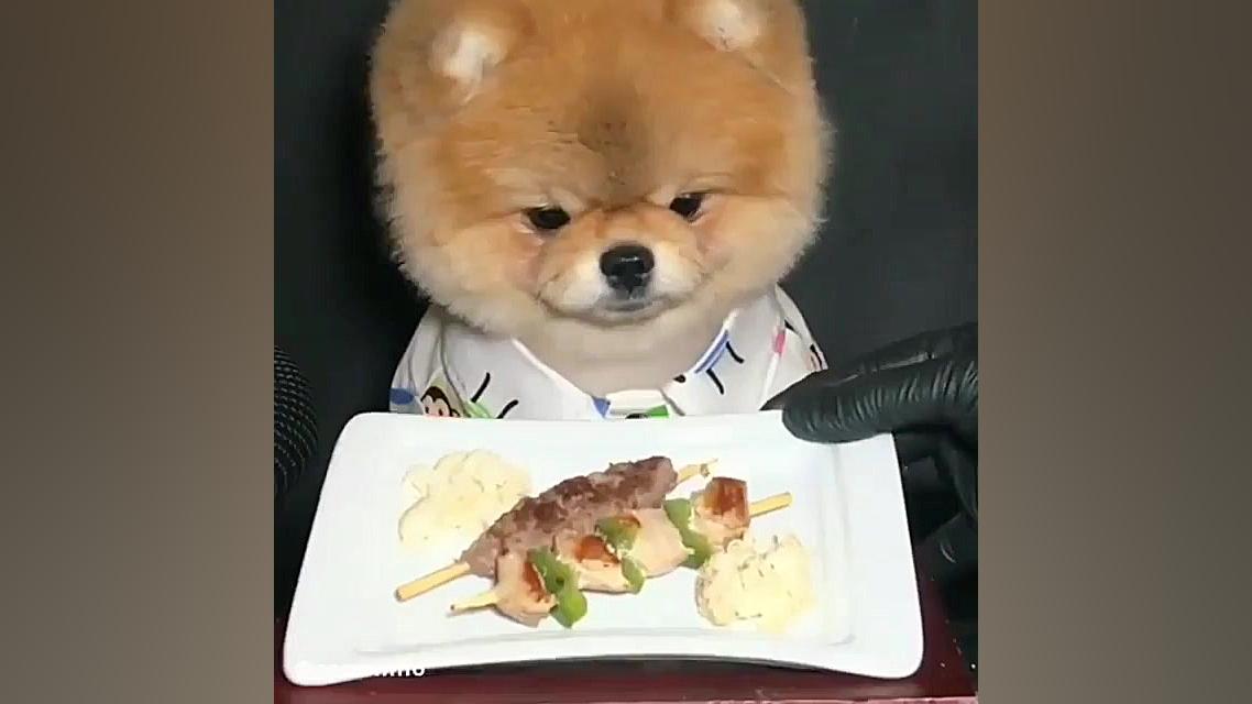 چالش آسمر جدید با هاپو گوگولی...