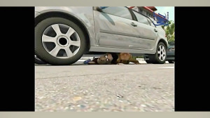 سیا ساکتی (سرقت خودرو)