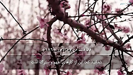 تلاوت قرآن مجید قاری ادریس ابک...