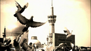 کلیپ تبریک ولادت امام رضا علیه...