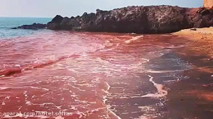 جزیره هرمز ساحل سرخ