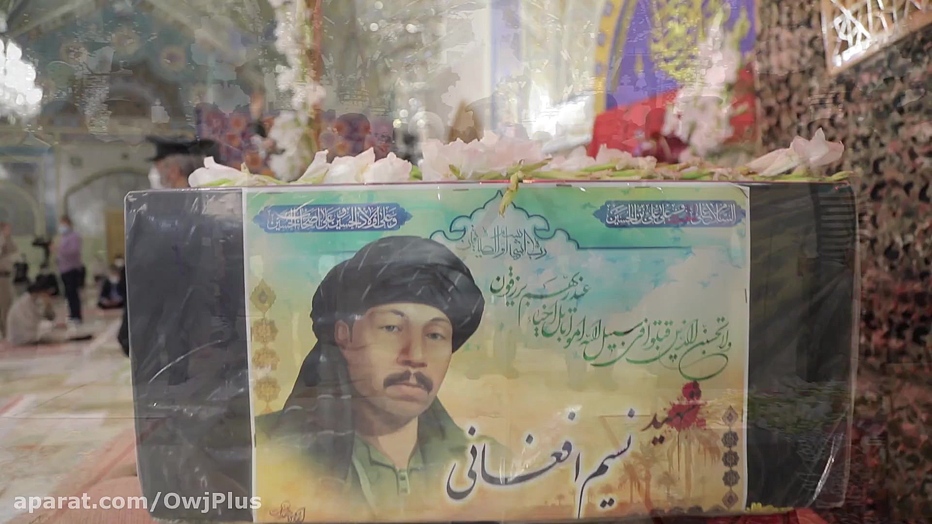 آغوش امام رضا ع برای نسیم ...