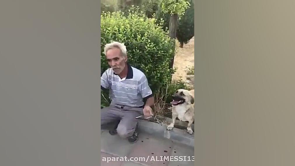 نجات یک سگ توسط جوان قهرمان