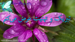 تبریک ولادت امام رضا  کلیپ تبر...