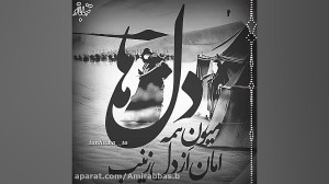 کلیپ مذهبی  امان از دل زیـــنب