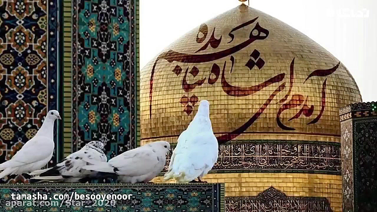 کلیپ تبریک ولادت امام رضا  کلی...