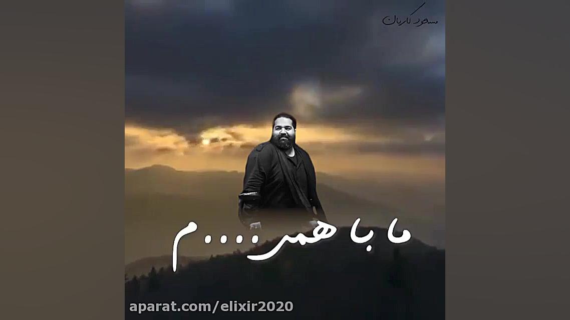 رضا صادقی