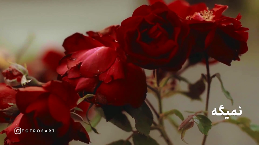 تولدتون مبارک...