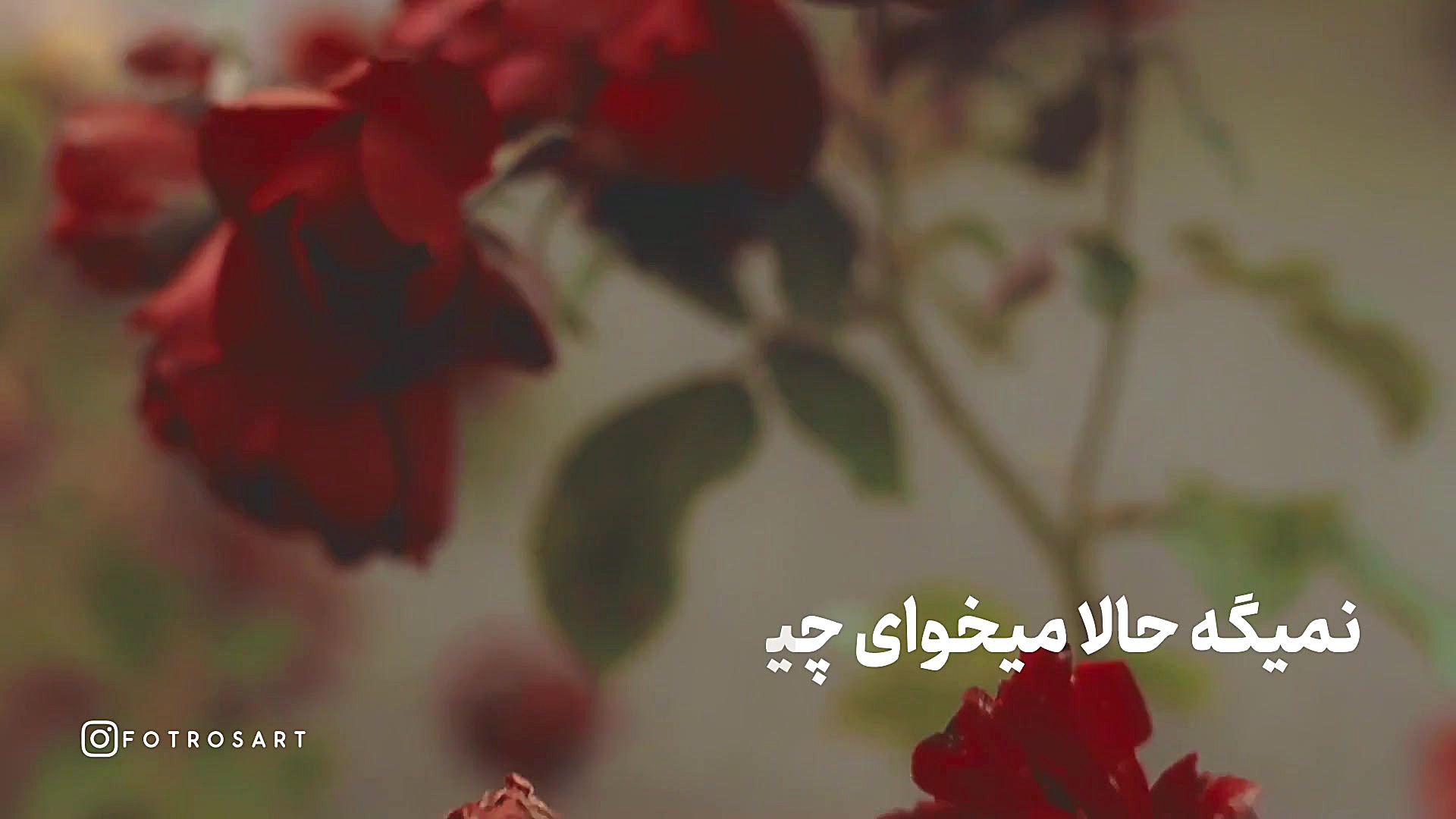 تولدتون مبارک...