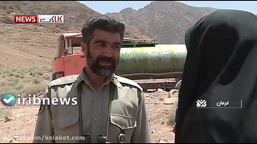 ضامن آهو و محیط بان