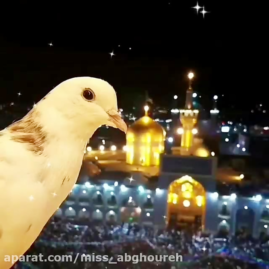 کلیپ میلاد امام رضا  میلاد اما...