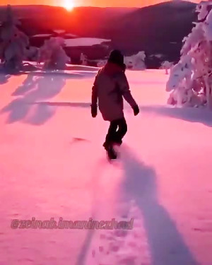 هدفمند، نترس است
