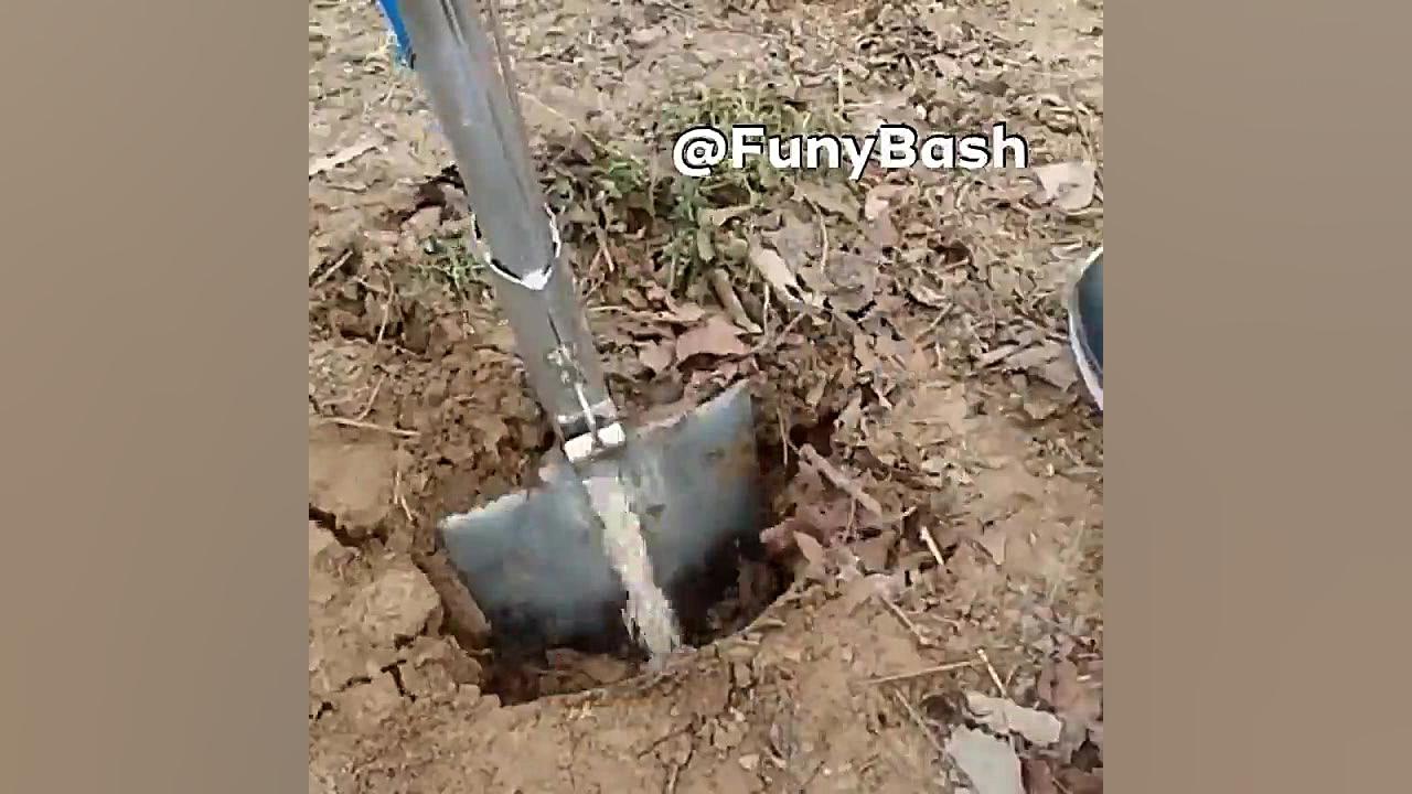 بیل هاشون هم با ما فرق داره