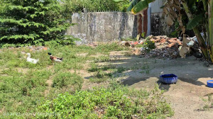 بررسی عملکرد دوربین گلکسی اس ۲...