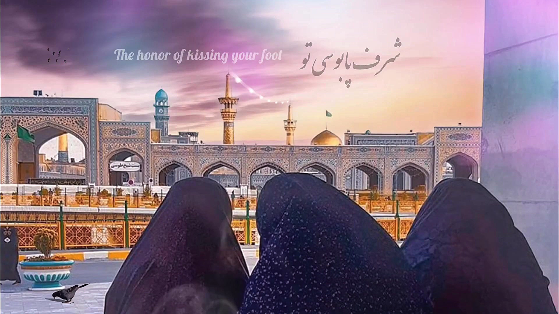 شرف پابوسی | علی فانی