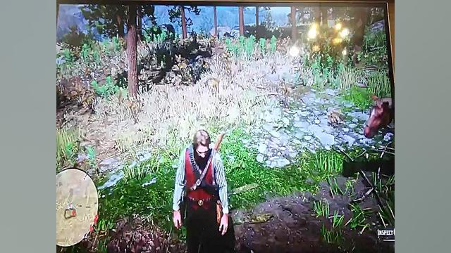 راز خانه ی کوتوله ها در RED DE...