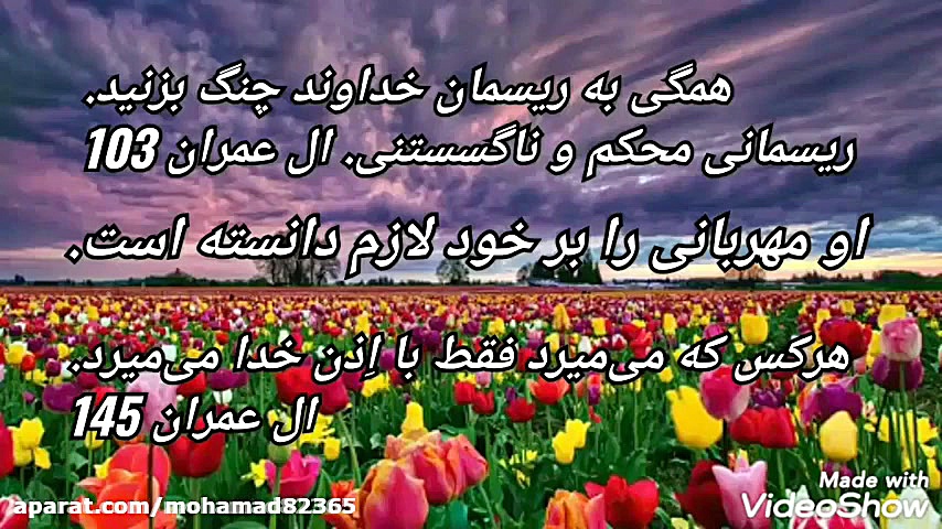 کلیپ عاشقانه و آرامبخش در مورد...