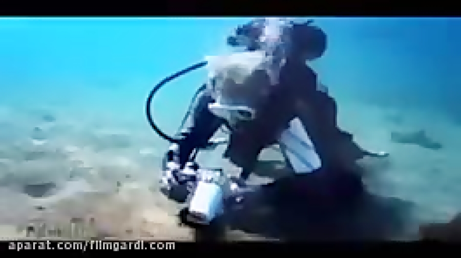 فیلم برداری از پری دریایی