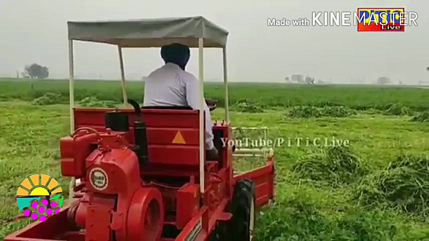 دروگر یونجه چین