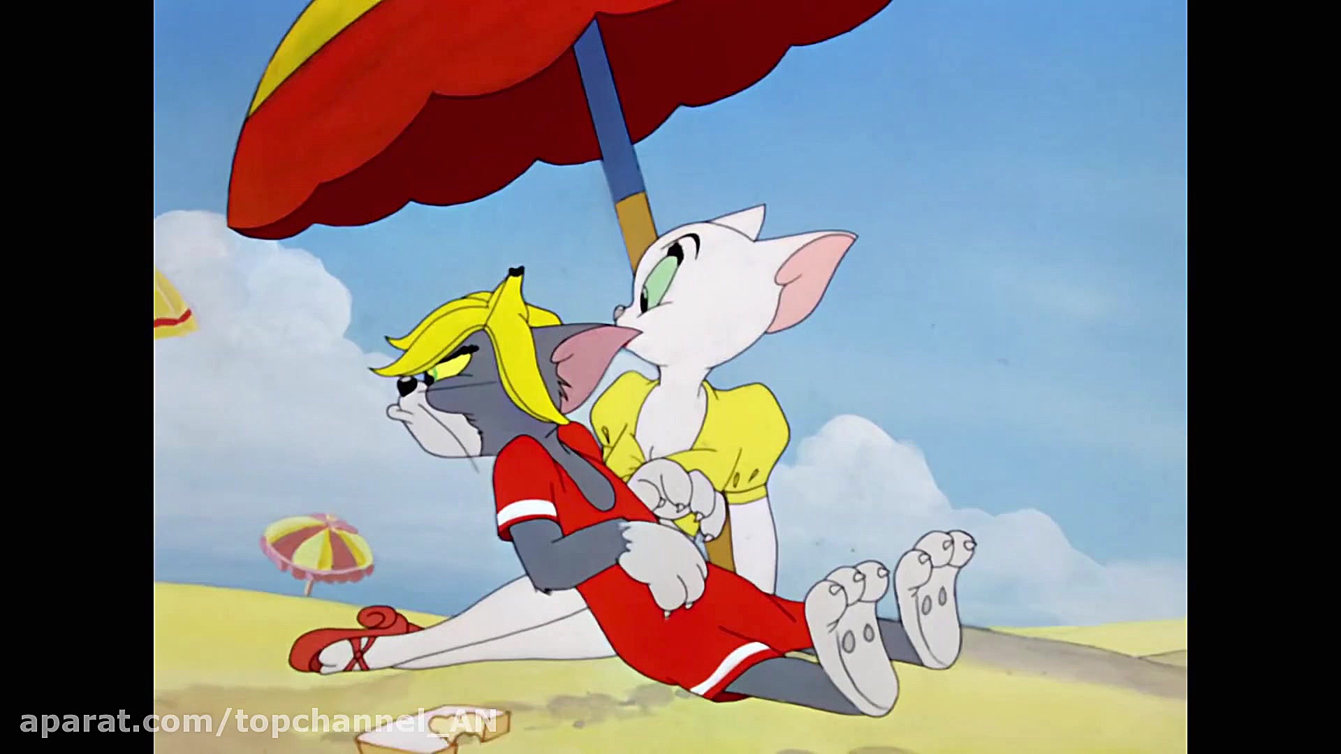 کارتون موش و گربه قسمت 5