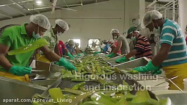 بسته بندی جدید نوشیدنی آلوئه و...