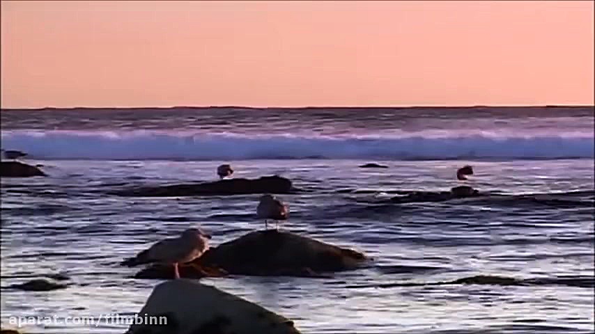 موسیقی بی کلام آرامش بخش و زیی...