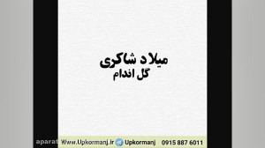 دانلود آهنگ جدید میلاد شاکری ب...