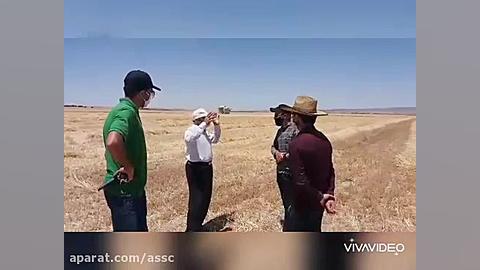 شرکت خدمات حمایتی کشاورزی استا...