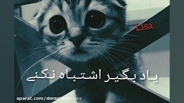 کلیپ دپ دخترونه دپ شاخ  کلیپ خ...