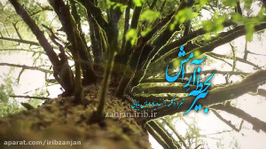 ترانه ترکی "بلکه بو ایل ت...