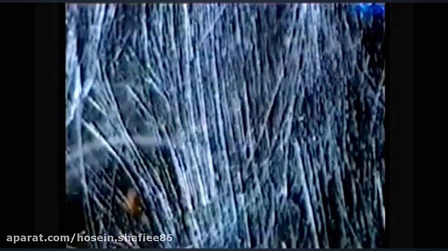 نیم نگاهی بر عجایب خلقت(شماره...