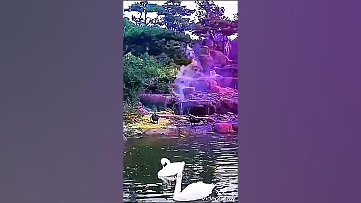 سوره العلق بصوت عبدالرحمن اکبر...