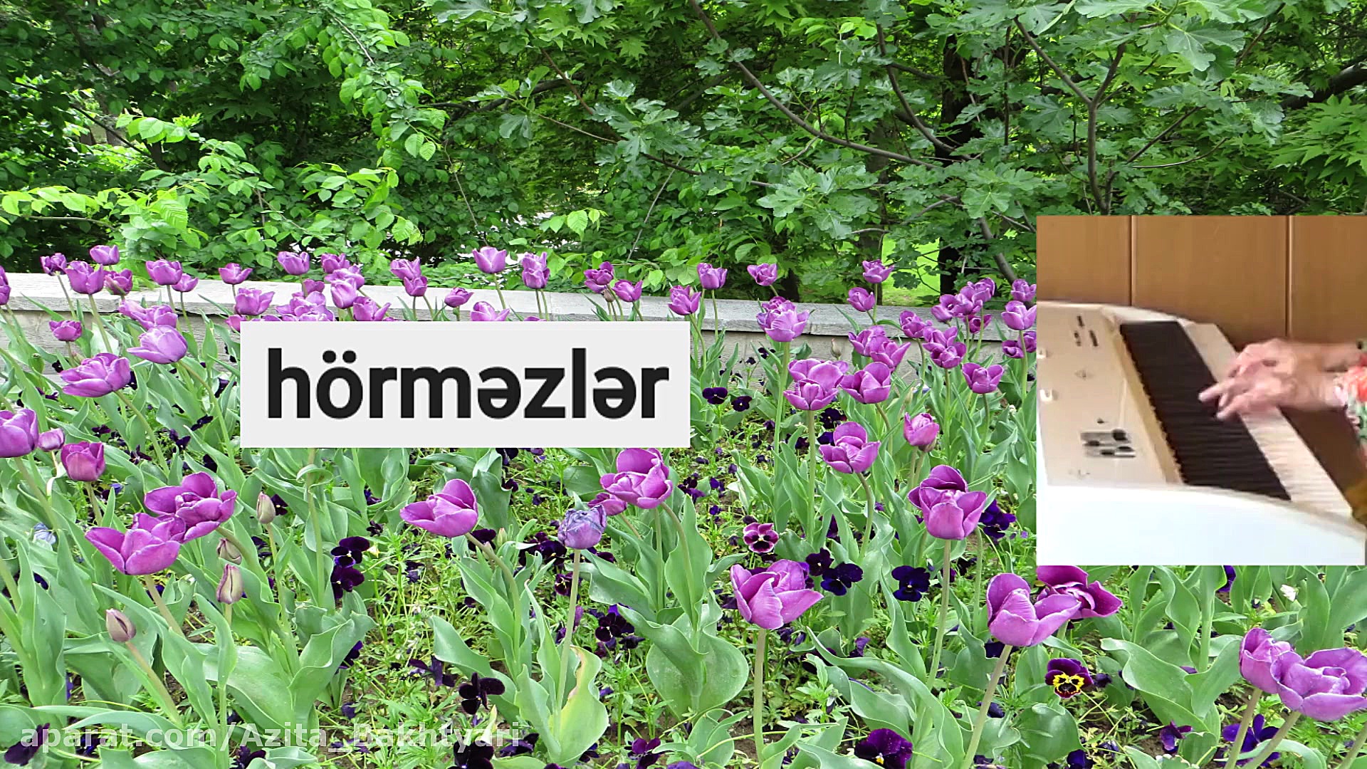 آهنگ آذری ساری گلین