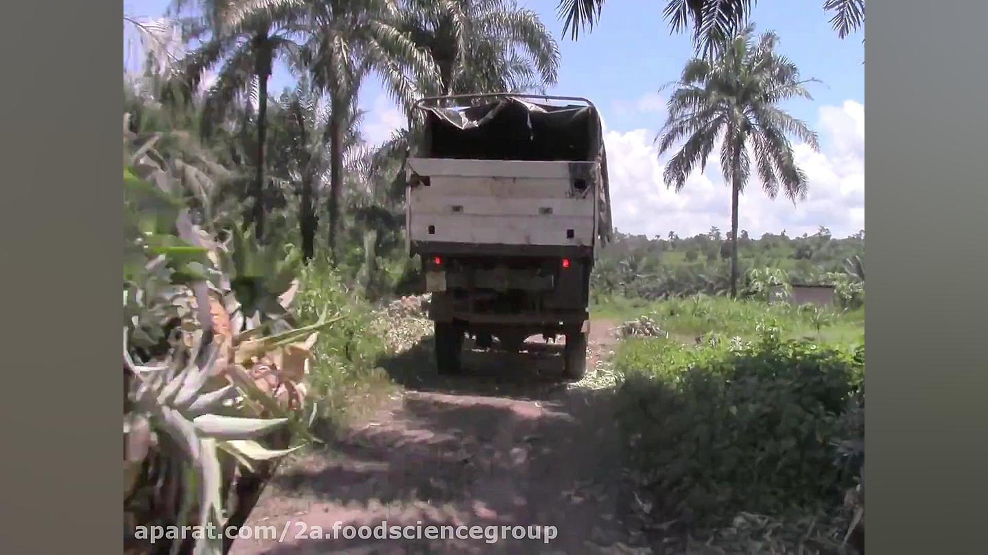  Pineapple Juice Processing