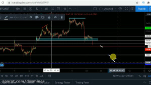 (dssminer.com) Bitcoin Next Mo...