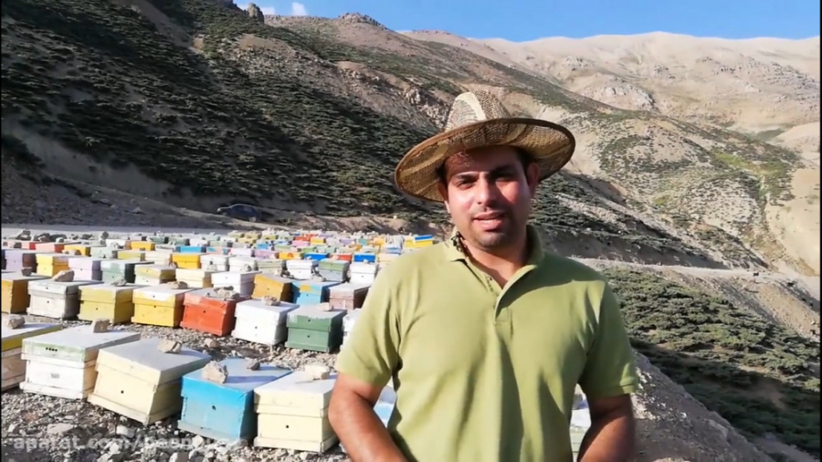 درباره عسل های خام زنبورستان ب...