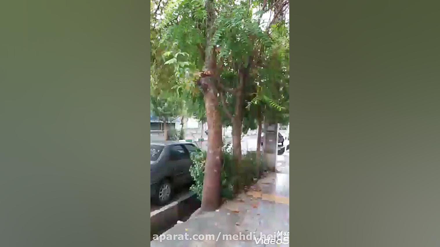 شرح ساده کتاب نیروی حال اکهارت...