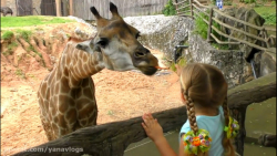 دیانا و روما  ماجراهای در باغ...