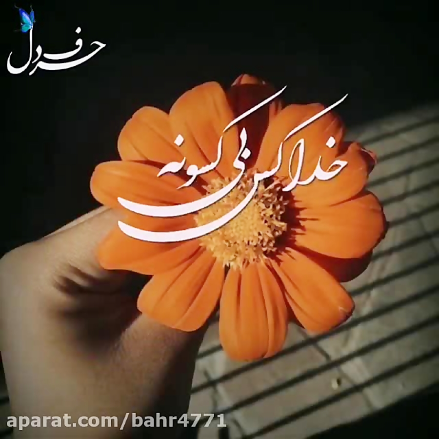 دانلود کلیپ زیبای خدا کس بی کس...