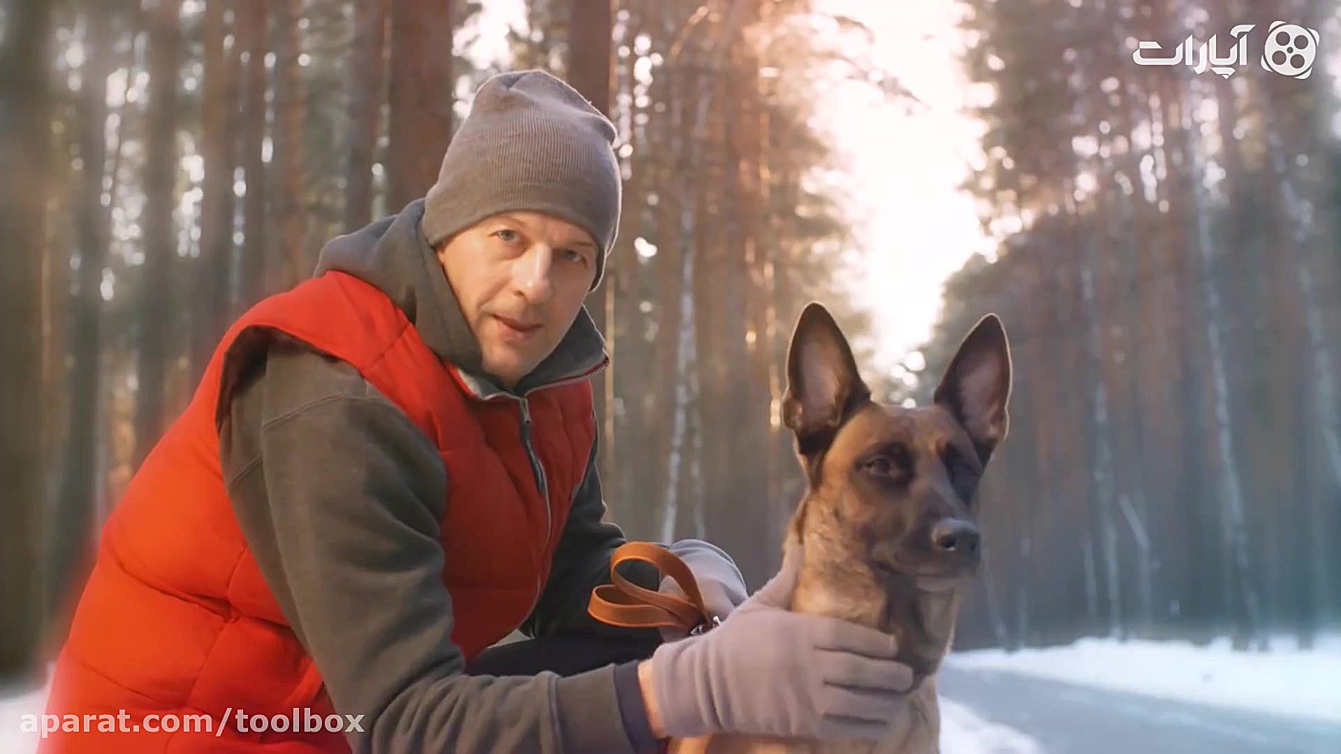 مطمئن ترین نژاد سگها