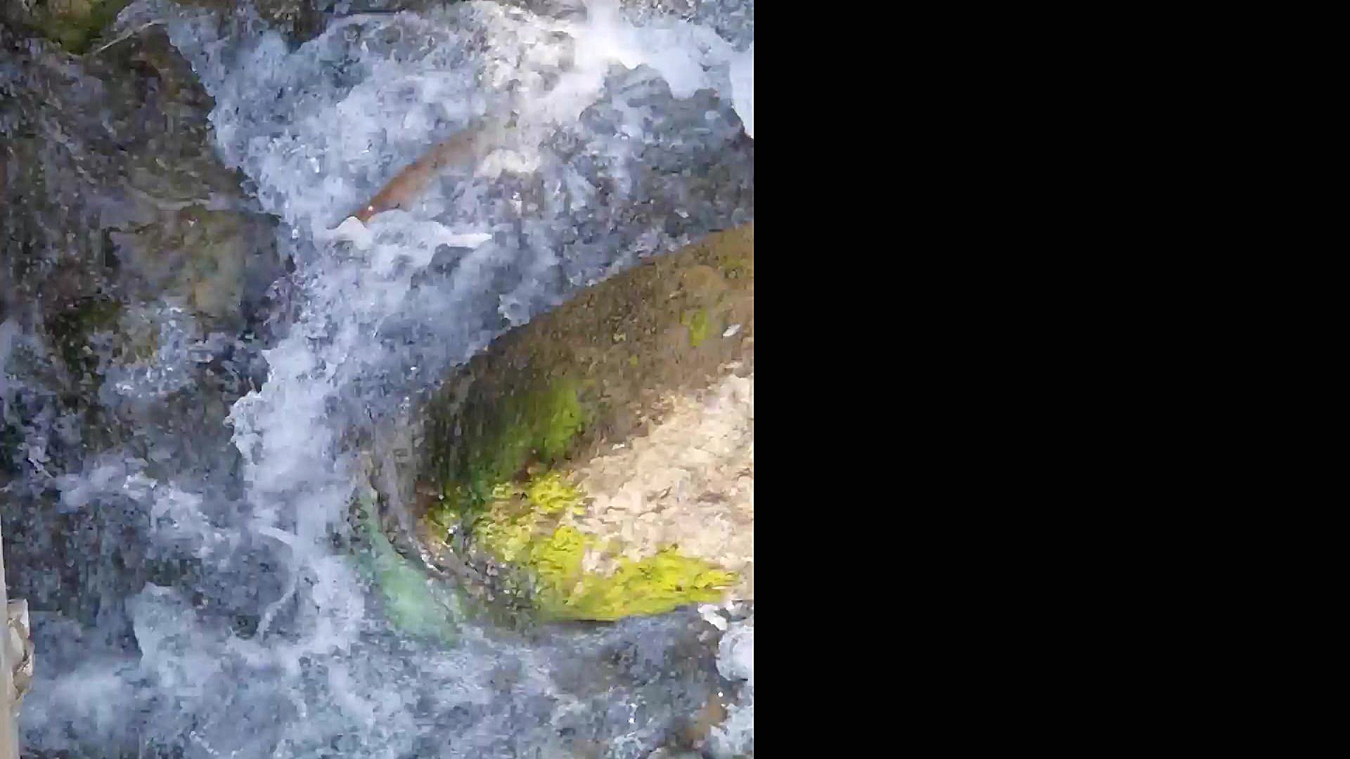 فیلمبرداری با هواوی پی 40 پرو...