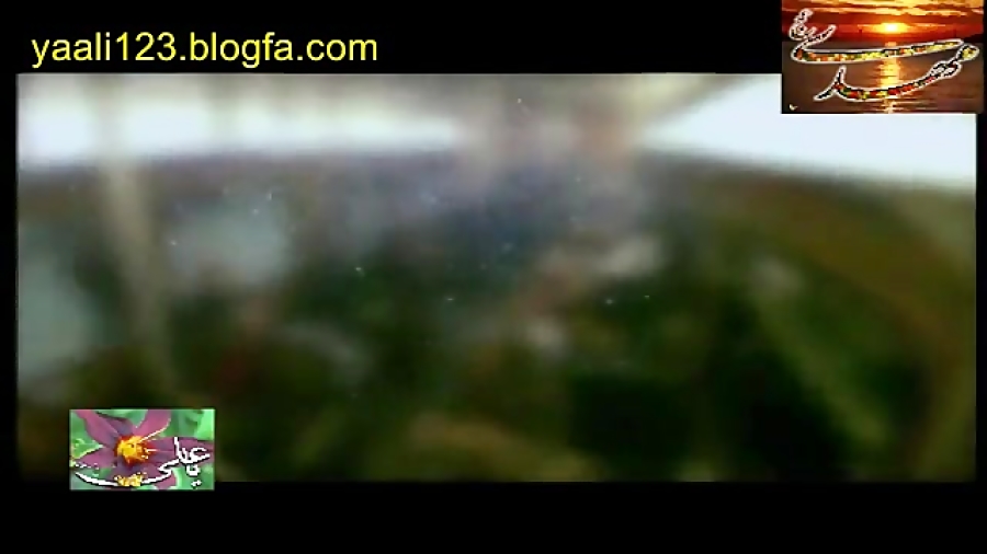 فیلم آهسته از لحظه عطسه کردن و...