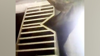 اسب عرب فروشی 1سر خارجی