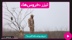 تیزر فیلم کوتاه &laquo; خروس&z...